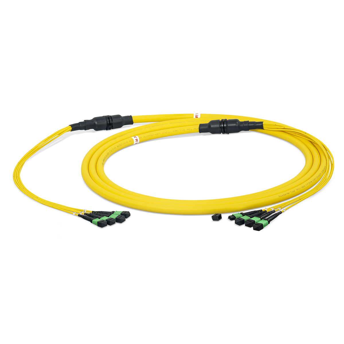 Fiber optic trunk cable breakout 32 fibers singlemode OS2, MTP®-OCTO-PC-m/ MTP®-OCTO-PC-m, I-F(ZN)HH
