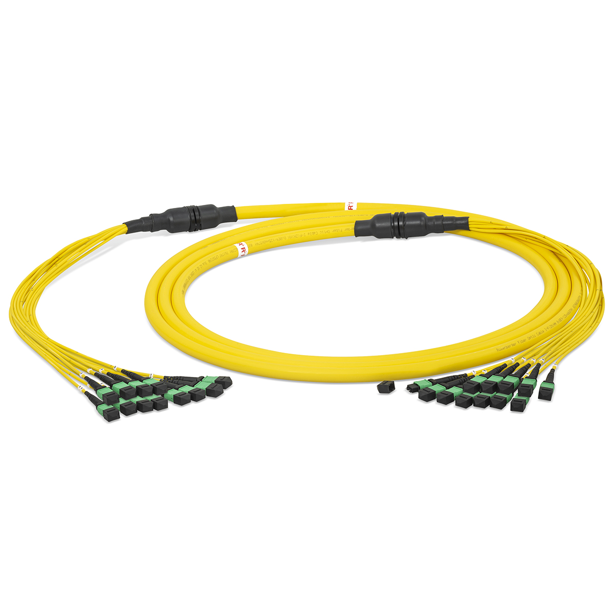 Fiber optic trunk cable breakout 96 fibers singlemode OS2, MTP®-OCTO-PC-m/ MTP®-OCTO-PC-m, I-F(ZN)HH