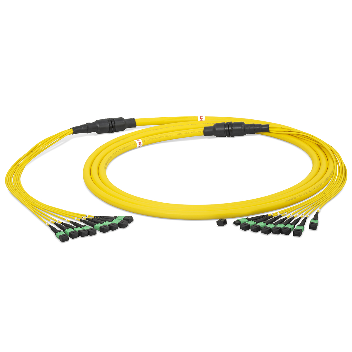 Fiber optic trunk cable breakout 64 fibers singlemode OS2, MTP®-OCTO-PC-m/ MTP®-OCTO-PC-m, I-F(ZN)HH