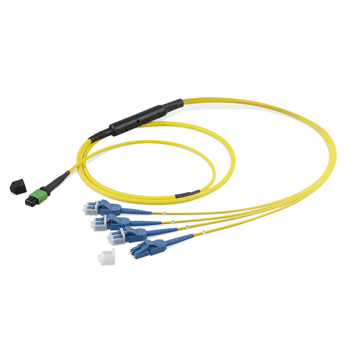 Fiber optic harness 8 fibers singlemode OS2, MTP®-PC-f/ LC-Compact, I-F(ZN)H(ZN)H